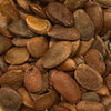Persimmon 'American' - (Diospyros virginiana) seeds - amkha-seed.myshopify.com