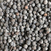 Wax Myrtle Seeds - (Myrica cerifera)