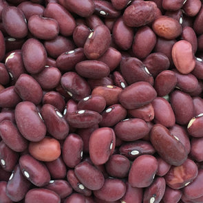 Bean (Bush/dry) Hidatsa Red - (Phaseolus Vulgaris) Seeds