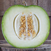 Gourd (Wax) Small Round - (Benincasa Hispida) Seeds