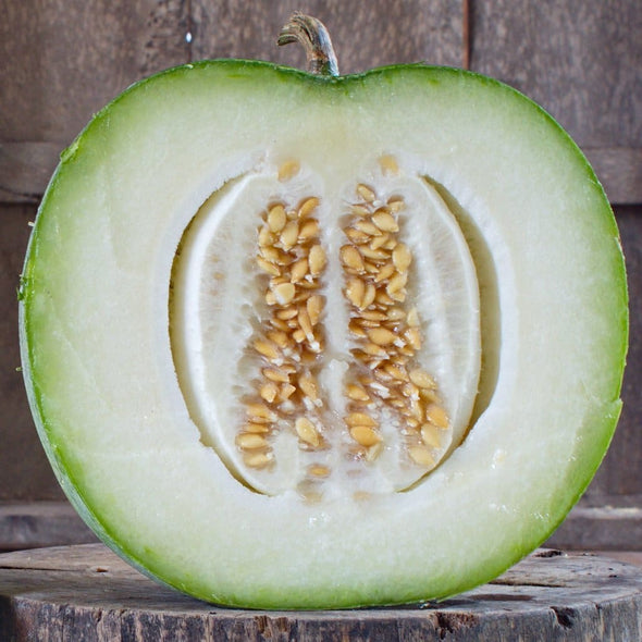 Gourd (Wax) Small Round - (Benincasa Hispida) Seeds