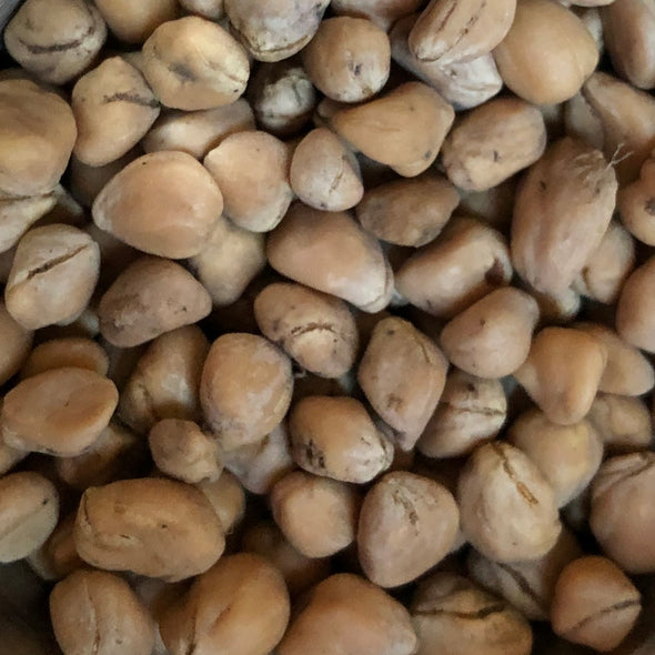 Kousa Dogwood Seeds - (Cornus kousa chinensis)