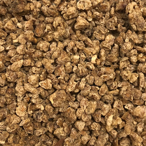 Mulberry 'Himalayan (King) White' - (Morus macroura) seeds - amkha-seed.myshopify.com