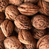 Nemaguard Peach Seeds - (Prunus persica nemaguard)
