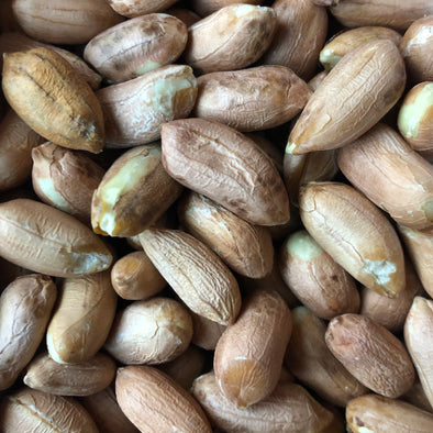 Peanuts 'Virginia Jumbo' (shelled) - (Arachis hypogaea) seeds - amkha-seed.myshopify.com