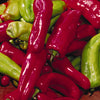 Pepper (Sweet/hot) 'Cubanelle' - (Capsicum annuum) seeds - amkha-seed.myshopify.com