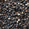 Smooth Serviceberry Dried Berries (seeds) - (Amelanchier laevis)