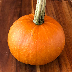 Squash (winter/pumpkin) 'Small Sugar' - (Cucurbita pepo) seeds - amkha-seed.myshopify.com