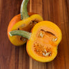 Squash (winter/pumpkin) 'Small Sugar' - (Cucurbita pepo) seeds - amkha-seed.myshopify.com