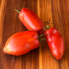 Tomato 'Federle' - (Solanum lycopersicum) seeds - amkha-seed.myshopify.com