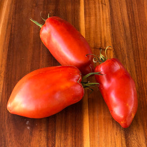 Tomato 'Federle' - (Solanum lycopersicum) seeds - amkha-seed.myshopify.com