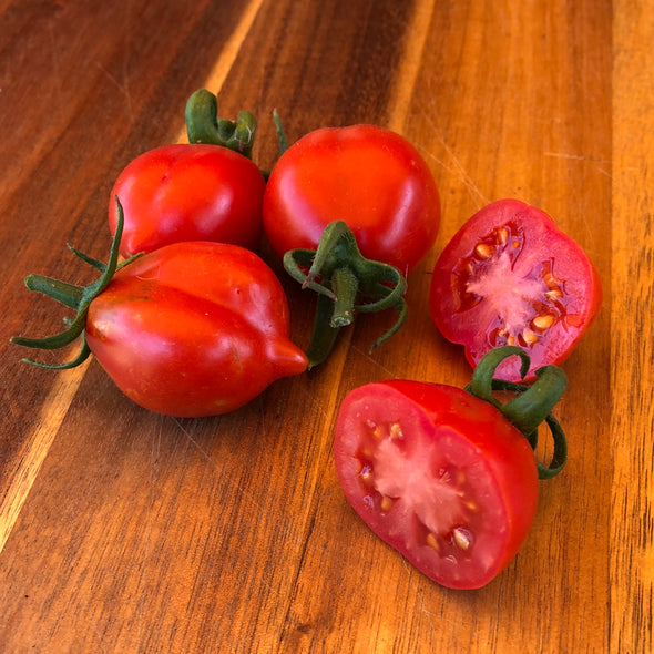 Tomato 'Mt. Vesuvius' - (Solanum lycopersicum) seeds - amkha-seed.myshopify.com