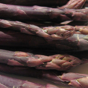 Asparagus Purple - (Asparagus Officinalis) Seeds