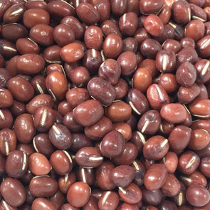 Bean (Adzuki) Dainagon - (Vigna Angularis) Seeds