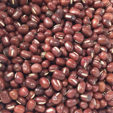 Bean (Adzuki) Wase - (Vigna Angularis) Seeds