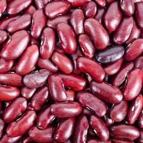 Bean (Bush/dry) Dark Red Kidney - (Phaseolus Vulgaris) Seeds