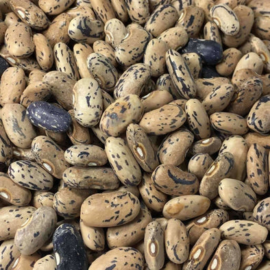 Bean (Bush/dry) Dragons Tongue - (Phaseolus Vulgaris) Seeds