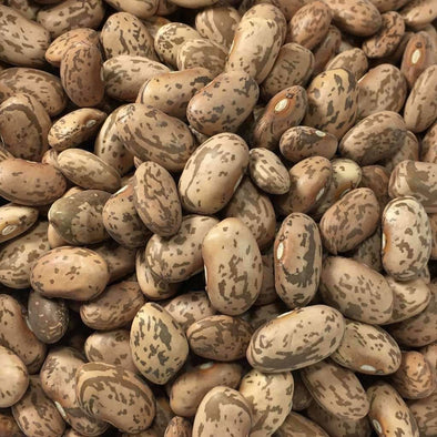 Bean (Bush/dry) Pinto - (Phaseolus Vulgaris) Seeds