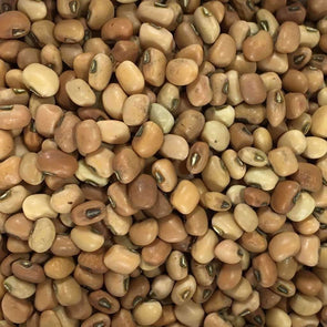 Bean (Cowpea) Iron And Clay - (Vigna Unguiculata) Seeds