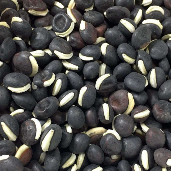 Bean (Lablab/hyacinth) Purple Moon - (Dolichos Lablab) Seeds