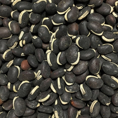 Bean (Lablab/hyacinth) Rongai - (Lablab Purpureus Rongai) Seeds