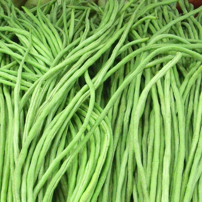Bean (Pole) Green Noodle - (Vigna Unguiculata) Seeds