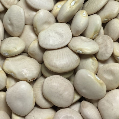 Bean (Pole) Lima Baby Fordhook - (Phaseolus Lunatus) Seeds