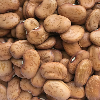 Bean (Pole) Lima Golden - (Phaseolus Lunatus) Seeds