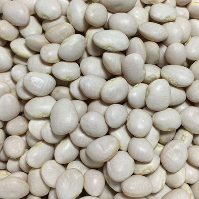 Bean (Pole) Lima White Dixie Butter Pea - (Phaseolus Lunatus) Seeds