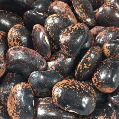 Bean (Pole/dry) Akahana Mame - (Phaseolus Vulgaris) Seeds