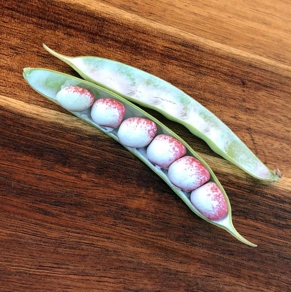 Bean (Pole/dry) Mayflower - (Phaseolus Vulgaris) Seeds
