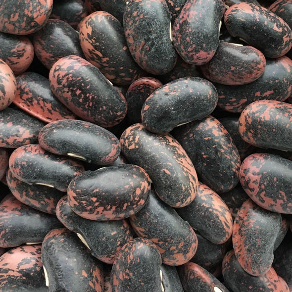 Bean (Pole/dry) Scarlet Runner - (Phaseolus Coccineus) Seeds