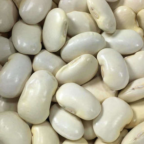 Bean (Pole/dry) Shirohana Mame - (Phaseolus Vulgaris) Seeds