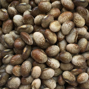 Bean (Pole/dry) Turkey Craw - (Phaseolus Vulgaris) Seeds