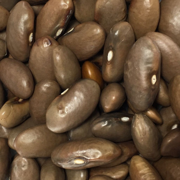 Bean (Pole/dry/snap) Gold Of Bacau Wax - (Phaseolus Vulgaris) Seeds