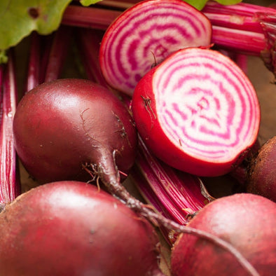 Beet Chioggia - (Beta Vulgaris Craca) Seeds