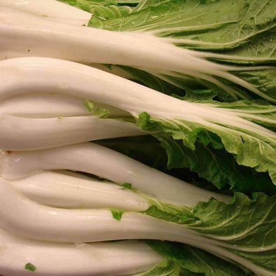 Bok Choy White Stem - (Brassica Rapa Chinensis) Seeds