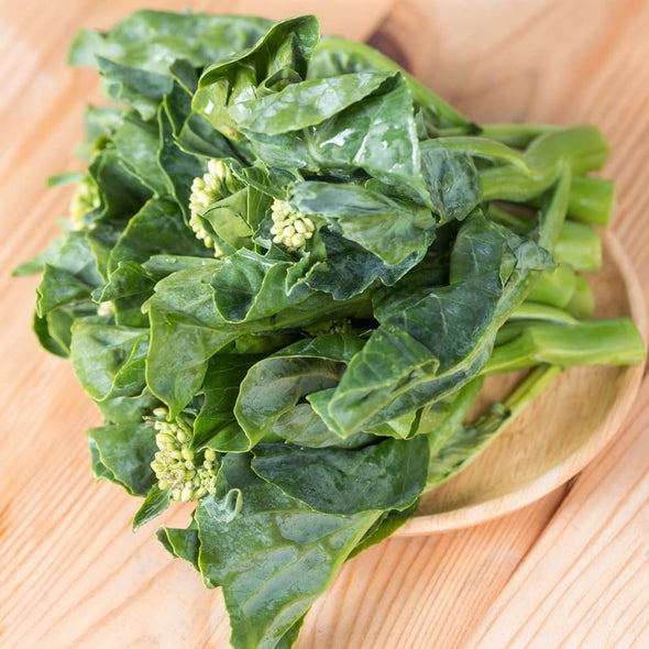 Broccoli (Chinese) Kailaan - (Brassica Oleracea Italica) Seeds