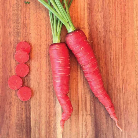 Carrot Atomic Red - (Daucus Carota Sativus) Seeds