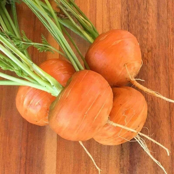 Carrot Parisian - (Daucus Carota Sativus) Seeds