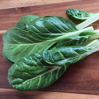 Chard Barese - (Beta Vulgaris Flavescens) Seeds