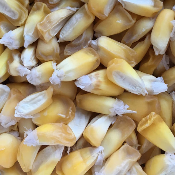 Corn (Popping/roasting) Chulpi Cancha - (Zea Mays) Seeds