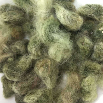 Cotton Arkansas Green Lint - (Gossypium Hirsutum) Seeds