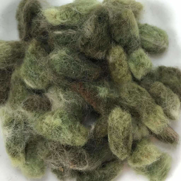 Cotton Erlenes Green - (Gossypium Hirsutum) Seeds