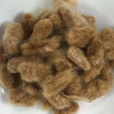 Cotton Nankeen - (Gossypium Hirsutum) Seeds
