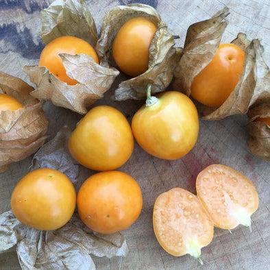 Ground Cherry Giant Poha Berry - (Physalis Peruviana) Seeds