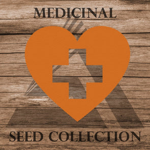 Medicinal Assortment - Seed Collection (21 Varieties) Assortment