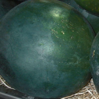 Melon (Watermelon) Blacktail Mountain - (Citrullus Lanatus) - Ossi Seeds