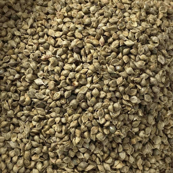 Millet Japanese - (Echinochloa Frumentacea) Seeds