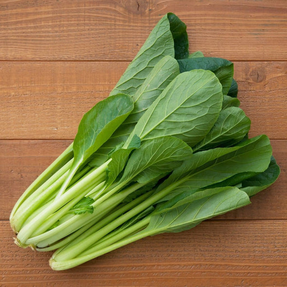 Mustard Komatsuna - (Brassica Juncea) Seeds